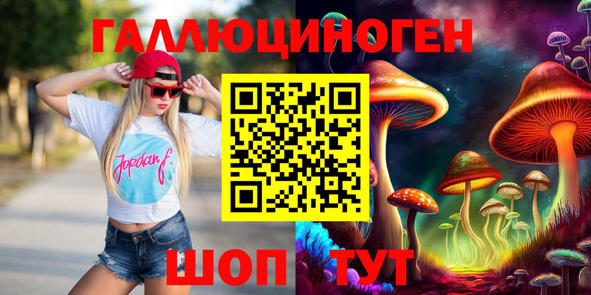 Галлюциногенные грибы Psilocybe Конаково